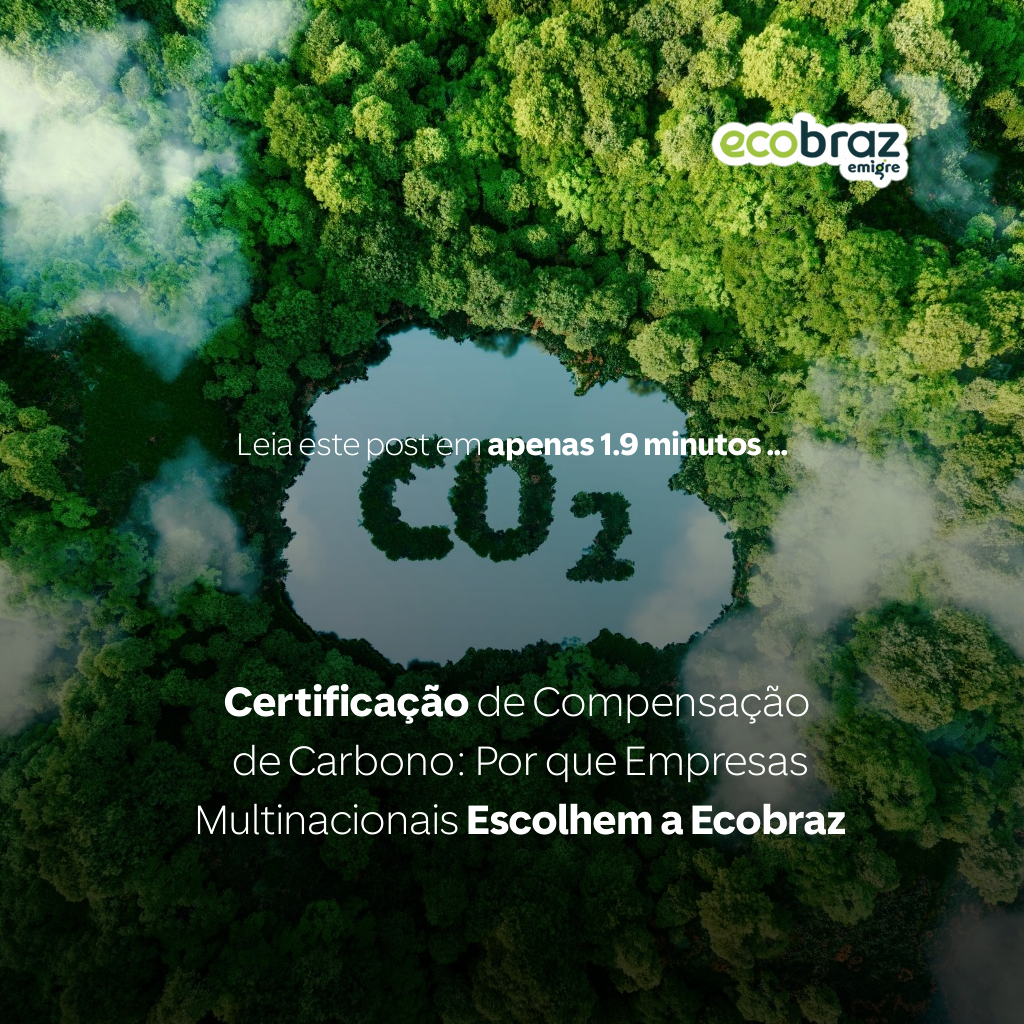 Carbon Offset Certification: Why Multinational Companies Choose Ecobraz