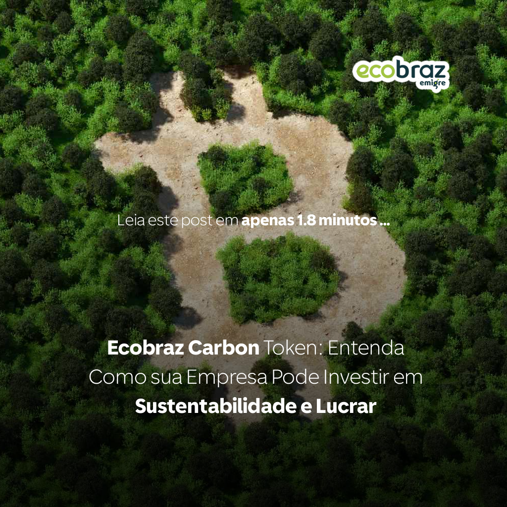 Ecobraz Carbon Token: Understand How Your Company Can Invest in Sustainability and Profit