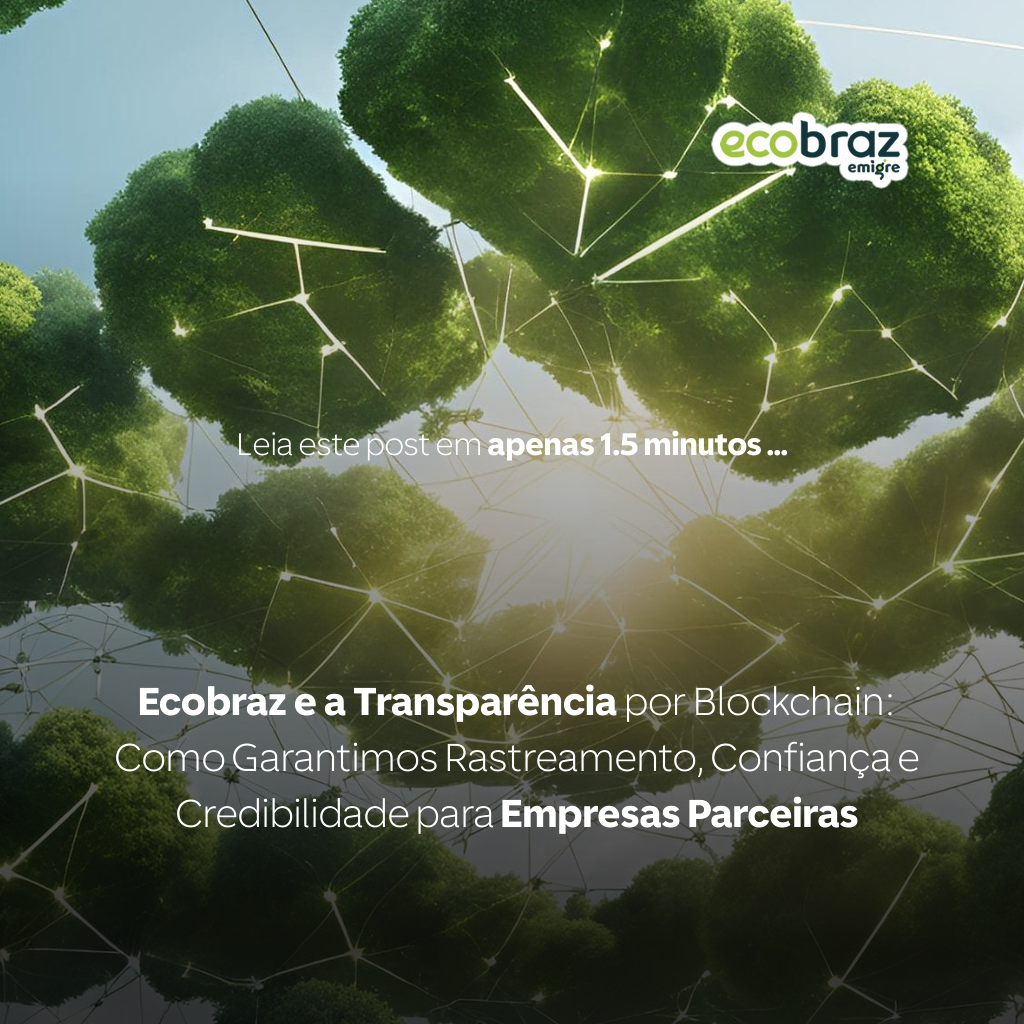 Ecobraz und Transparenz durch Blockchain: Wie wir Nachverfolgbarkeit, Vertrauen und Glaubwürdigkeit für Partnerunternehmen gewährleisten