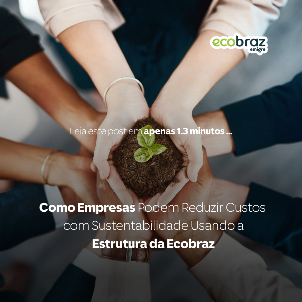 How Companies Can Cut Costs Through Sustainability Using Ecobraz’s Infrastructure